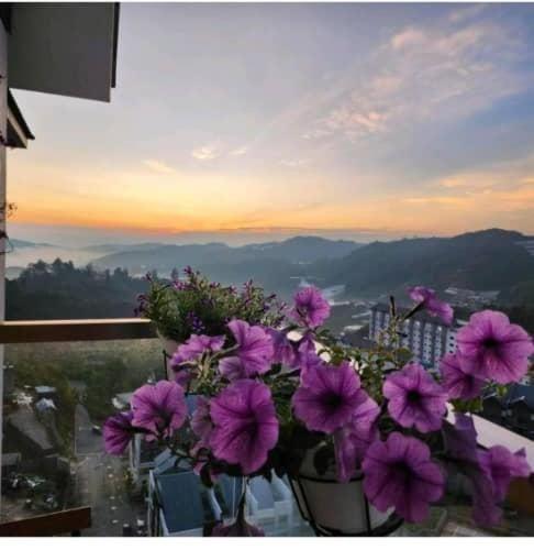 Kensington Sunrise Sg, Palas Horizon,Kea Farm Brincsang Kültér fotó