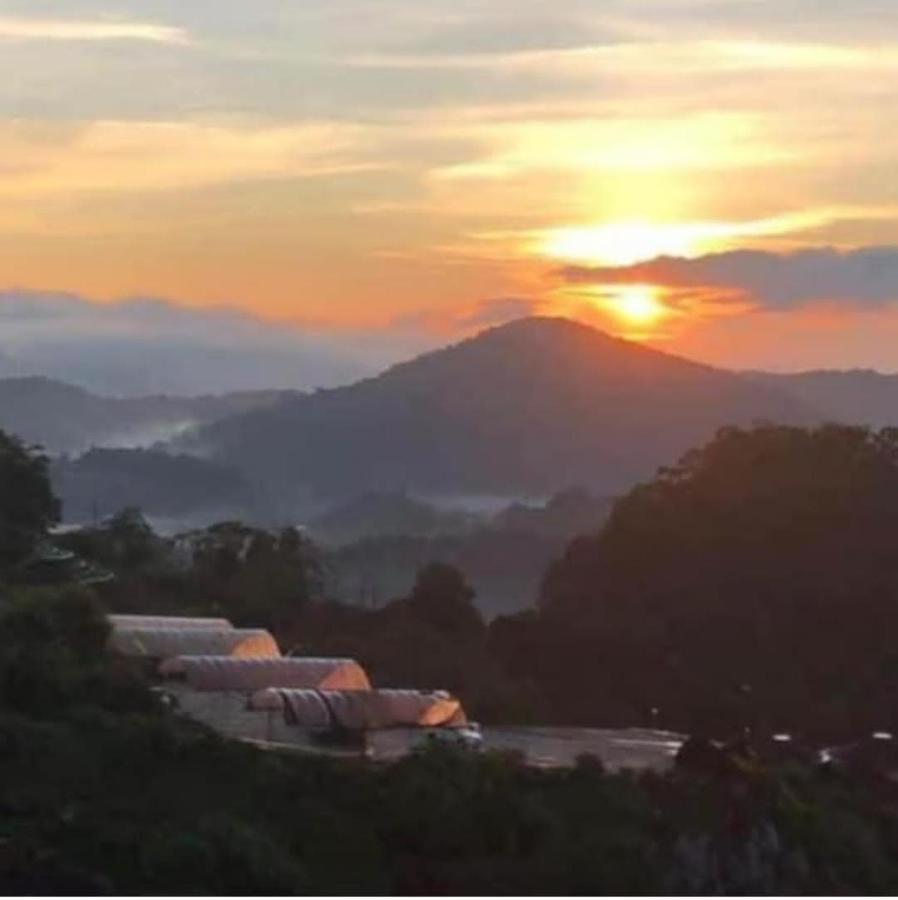 Kensington Sunrise Sg, Palas Horizon,Kea Farm Brincsang Kültér fotó