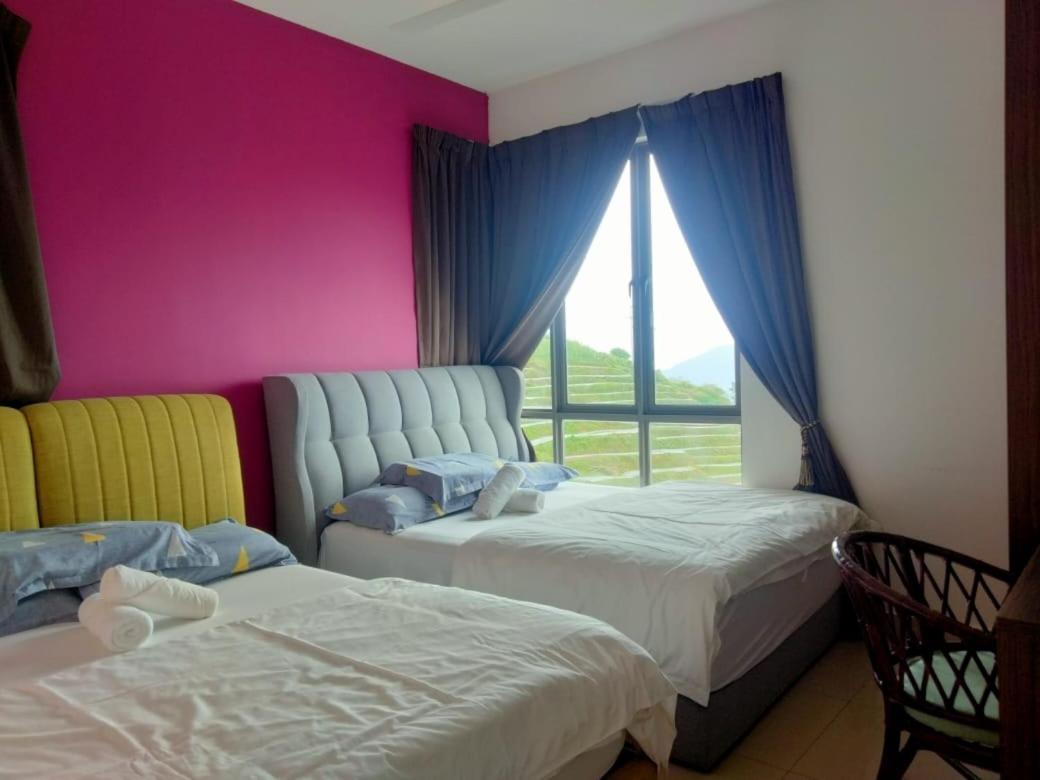 Kensington Sunrise Sg, Palas Horizon,Kea Farm Brincsang Kültér fotó